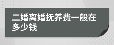 二婚离婚抚养费一般在多少钱