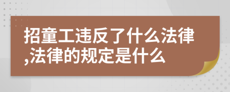 招童工违反了什么法律,法律的规定是什么