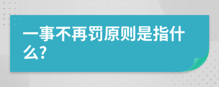 一事不再罚原则是指什么?