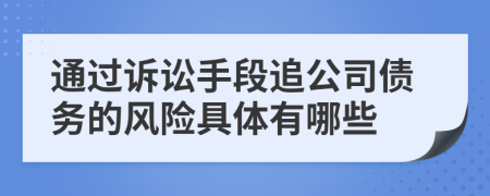 通过诉讼手段追公司债务的风险具体有哪些