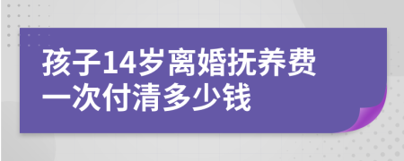 孩子14岁离婚抚养费一次付清多少钱