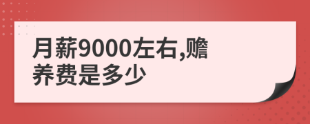 月薪9000左右,赡养费是多少