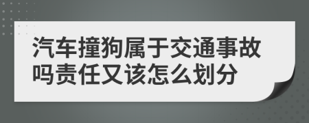 汽车撞狗属于交通事故吗责任又该怎么划分