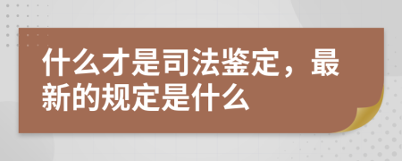 什么才是司法鉴定，最新的规定是什么