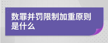 数罪并罚限制加重原则是什么