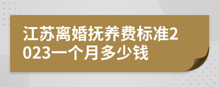 江苏离婚抚养费标准2023一个月多少钱