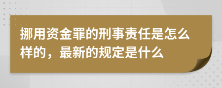 挪用资金罪的刑事责任是怎么样的，最新的规定是什么