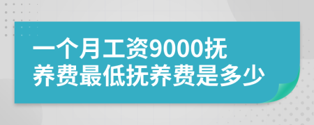 一个月工资9000抚养费最低抚养费是多少