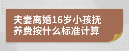 夫妻离婚16岁小孩抚养费按什么标准计算