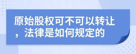 原始股权可不可以转让，法律是如何规定的