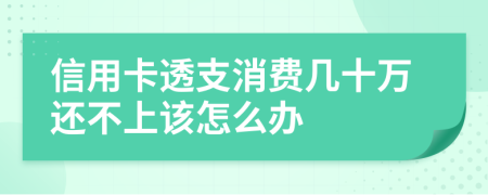 信用卡透支消费几十万还不上该怎么办