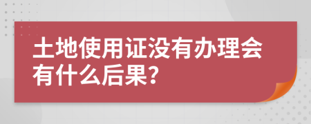土地使用证没有办理会有什么后果？