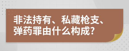 非法持有、私藏枪支、弹药罪由什么构成?