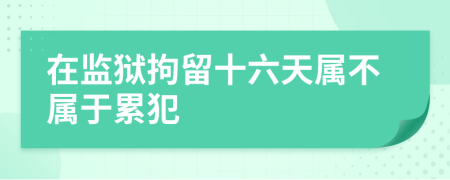 在监狱拘留十六天属不属于累犯