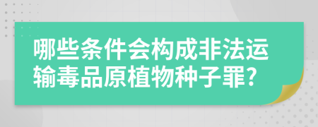 哪些条件会构成非法运输毒品原植物种子罪?