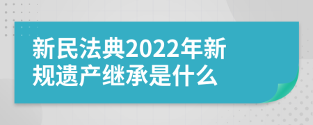 新民法典2022年新规遗产继承是什么