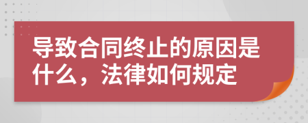 导致合同终止的原因是什么，法律如何规定