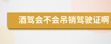 酒驾会不会吊销驾驶证啊