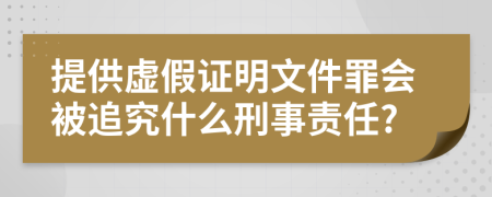 提供虚假证明文件罪会被追究什么刑事责任?
