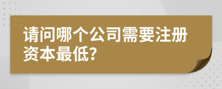 请问哪个公司需要注册资本最低？