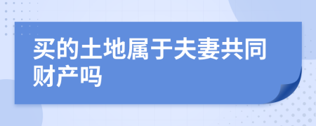 买的土地属于夫妻共同财产吗