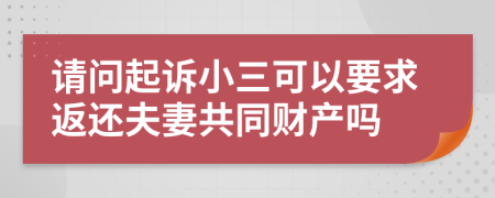 请问起诉小三可以要求返还夫妻共同财产吗