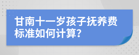 甘南十一岁孩子抚养费标准如何计算？