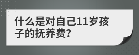 什么是对自己11岁孩子的抚养费？