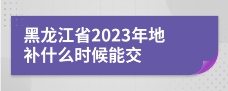 黑龙江省2023年地补什么时候能交