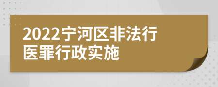 2022宁河区非法行医罪行政实施