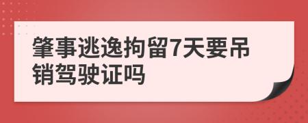 肇事逃逸拘留7天要吊销驾驶证吗