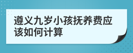 遵义九岁小孩抚养费应该如何计算