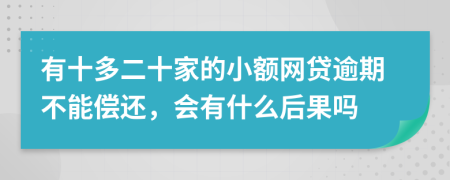 有十多二十家的小额网贷逾期不能偿还，会有什么后果吗