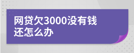 网贷欠3000没有钱还怎么办