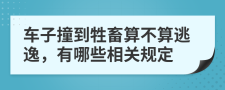 车子撞到牲畜算不算逃逸，有哪些相关规定