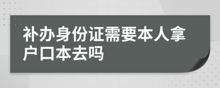 补办身份证需要本人拿户口本去吗