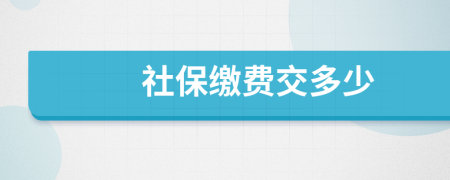 社保缴费交多少