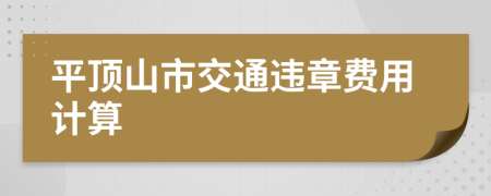 平顶山市交通违章费用计算