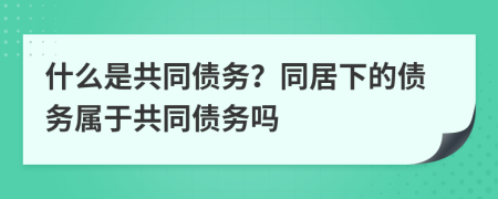 什么是共同债务？同居下的债务属于共同债务吗