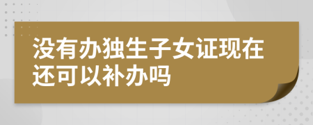 没有办独生子女证现在还可以补办吗