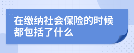 在缴纳社会保险的时候都包括了什么
