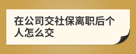 在公司交社保离职后个人怎么交