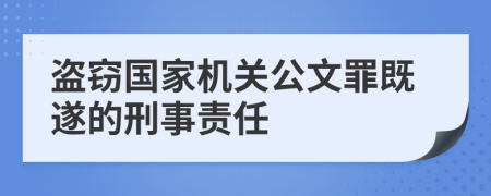 盗窃国家机关公文罪既遂的刑事责任