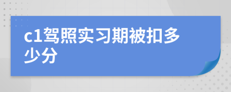 c1驾照实习期被扣多少分