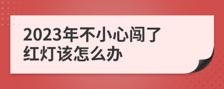 2023年不小心闯了红灯该怎么办