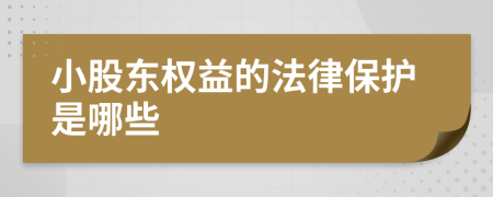 小股东权益的法律保护是哪些