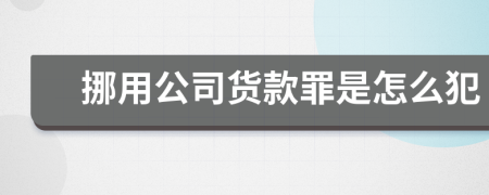 挪用公司货款罪是怎么犯