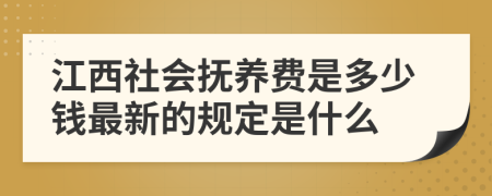 江西社会抚养费是多少钱最新的规定是什么