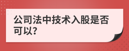 公司法中技术入股是否可以？