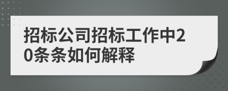 招标公司招标工作中20条条如何解释